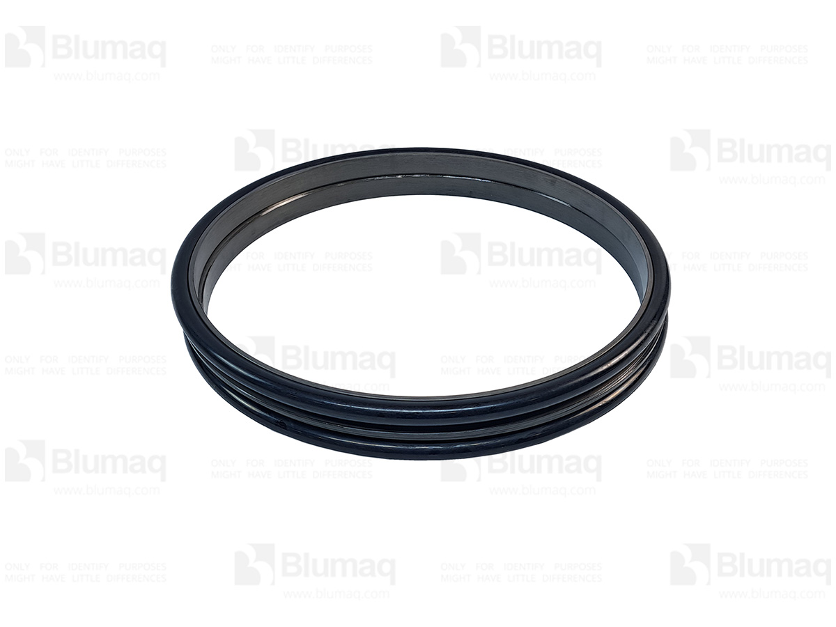P297A Seal Gp. Duo-cone