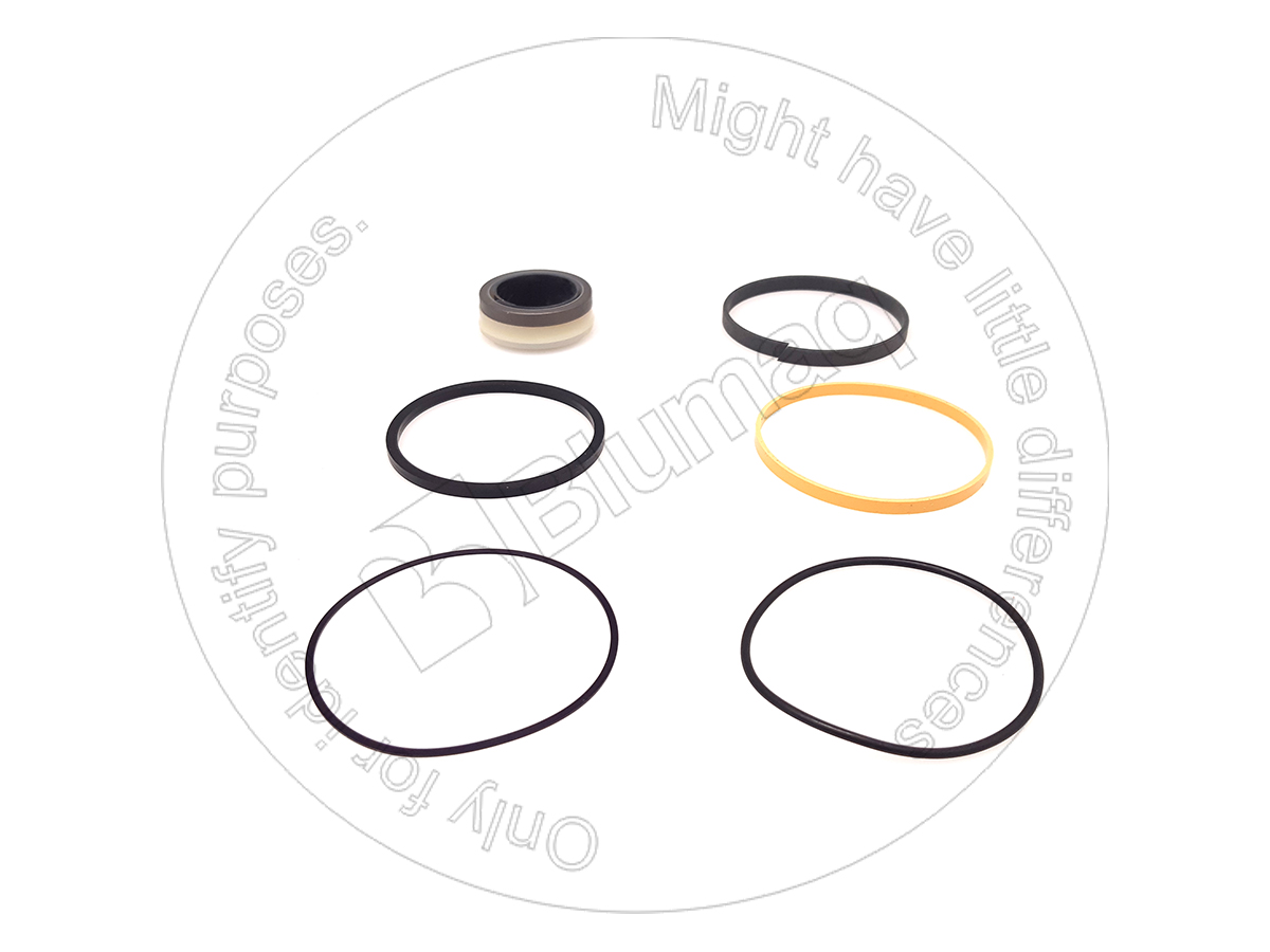 CSG110537 CASE Hydraulic Seal Kit