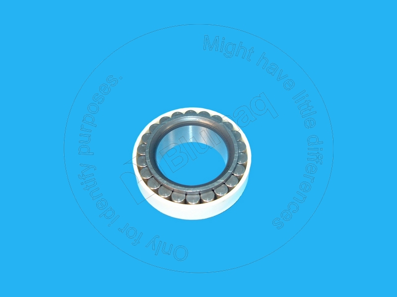 CS83934020 Bearing