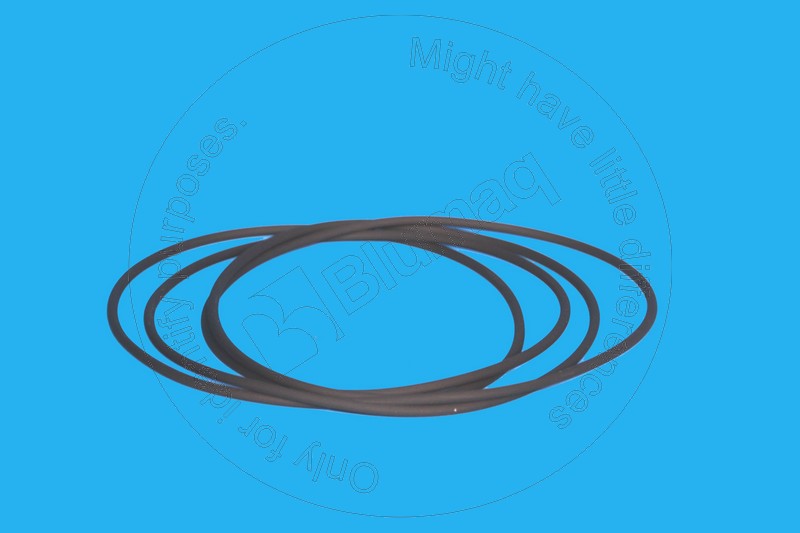 4D-0449 Seal O-ring for BLUMAQ
