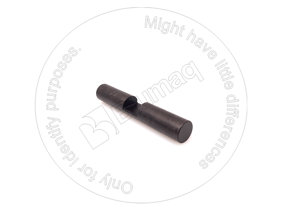 CS153317415 Shaft for CASE