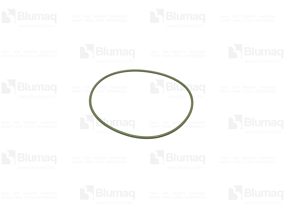 231-4707 Seal O-ring for BLUMAQ