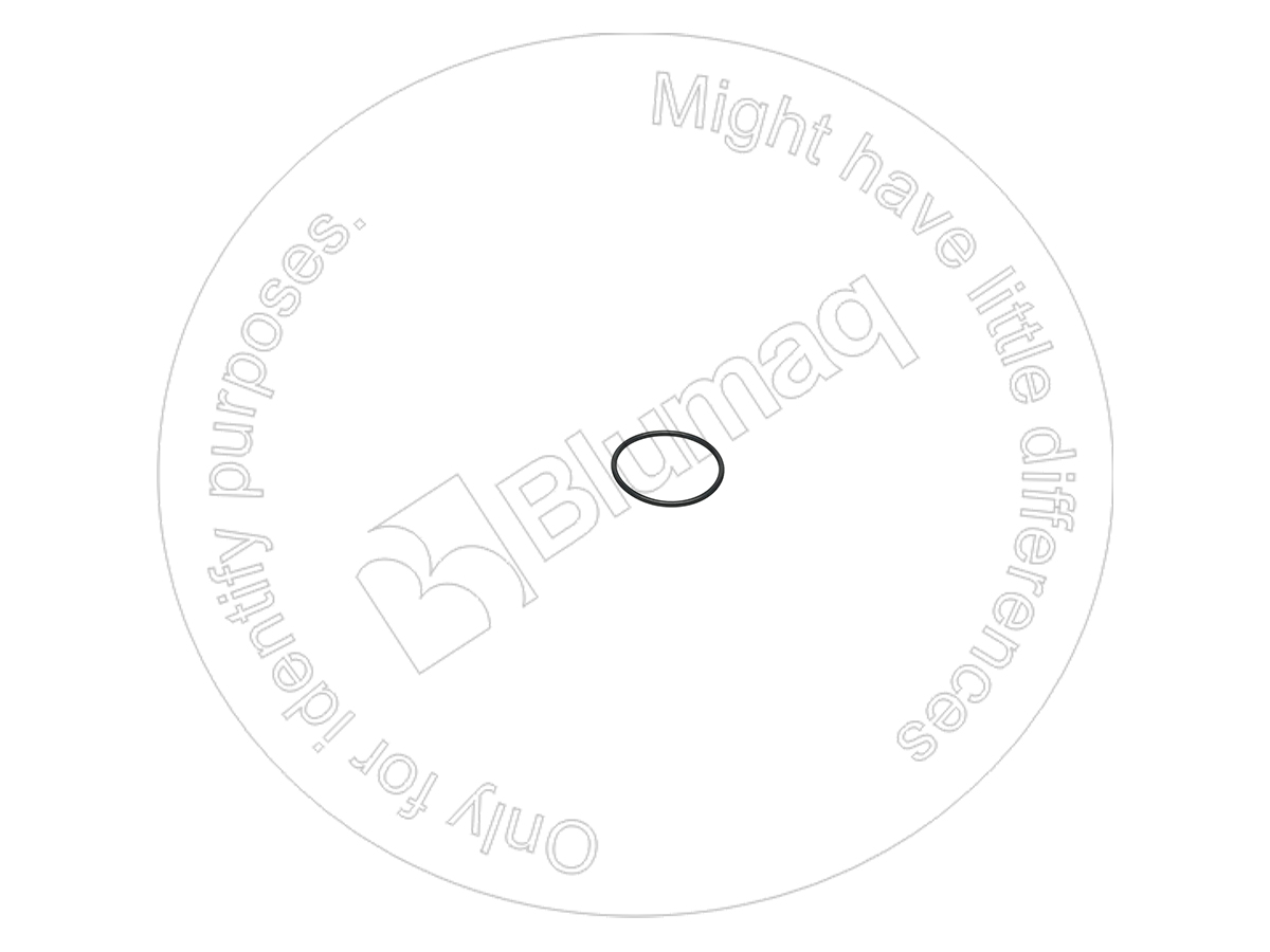 VOCH12A-024 Seal O-ring for BLUMAQ