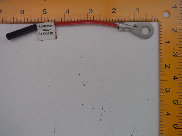 1665237 Wire for AGCO