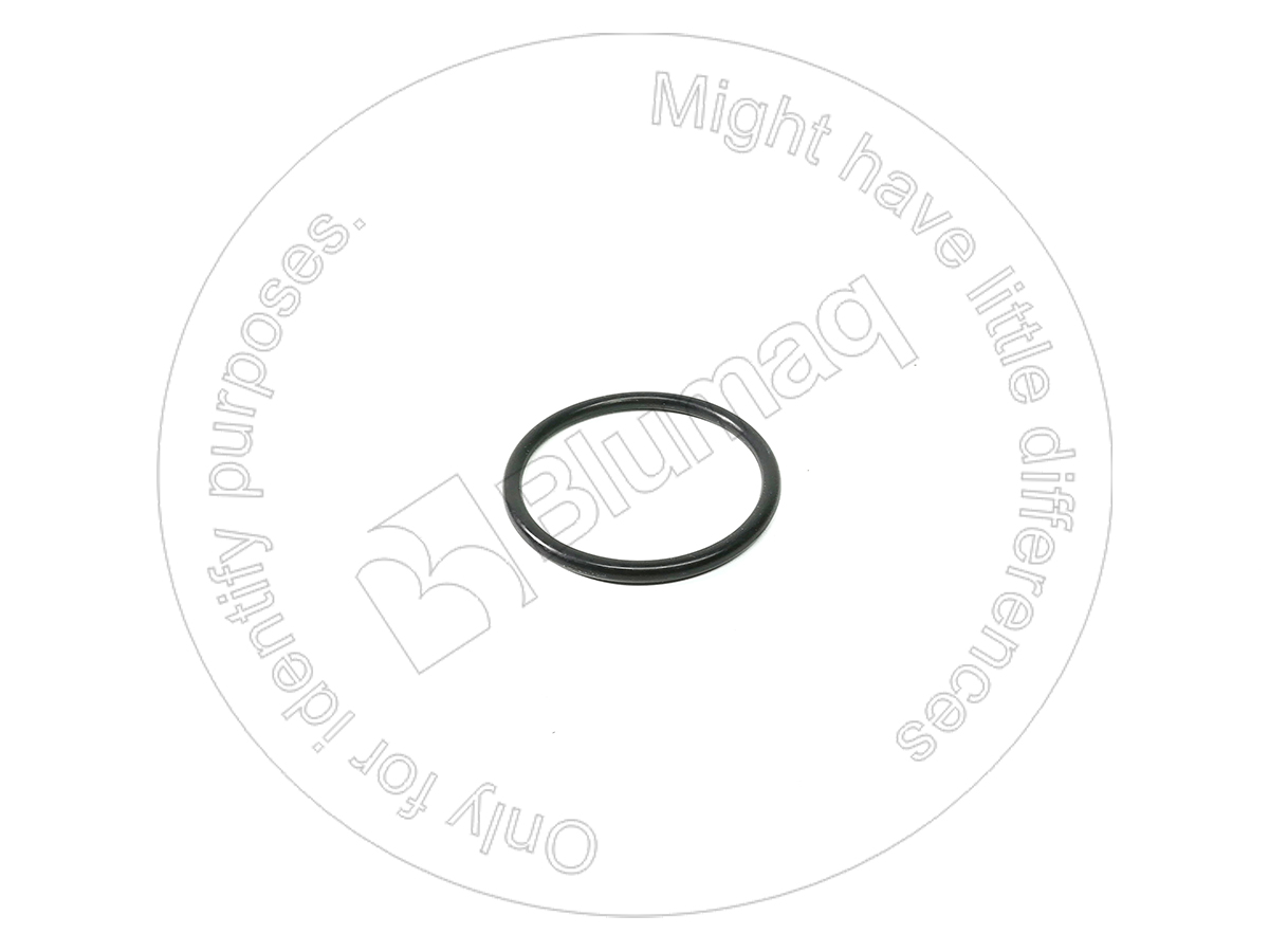 115.552 Seal O-ring for BLUMAQ