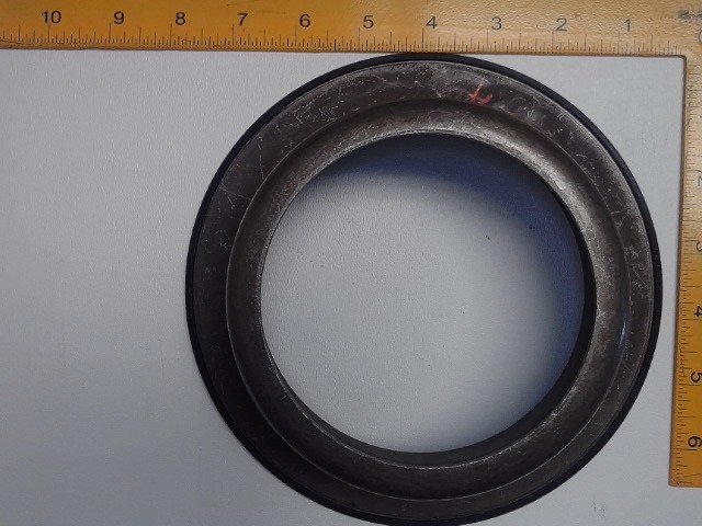 177-5243 AGCO Balance Seal