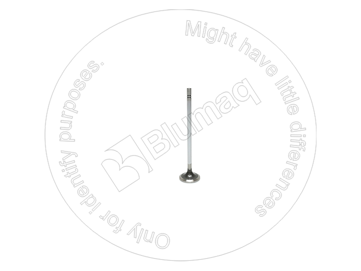 490-7198 Intake Valve for BLUMAQ