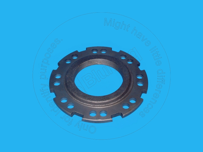 6K-9063 Nut for BLUMAQ