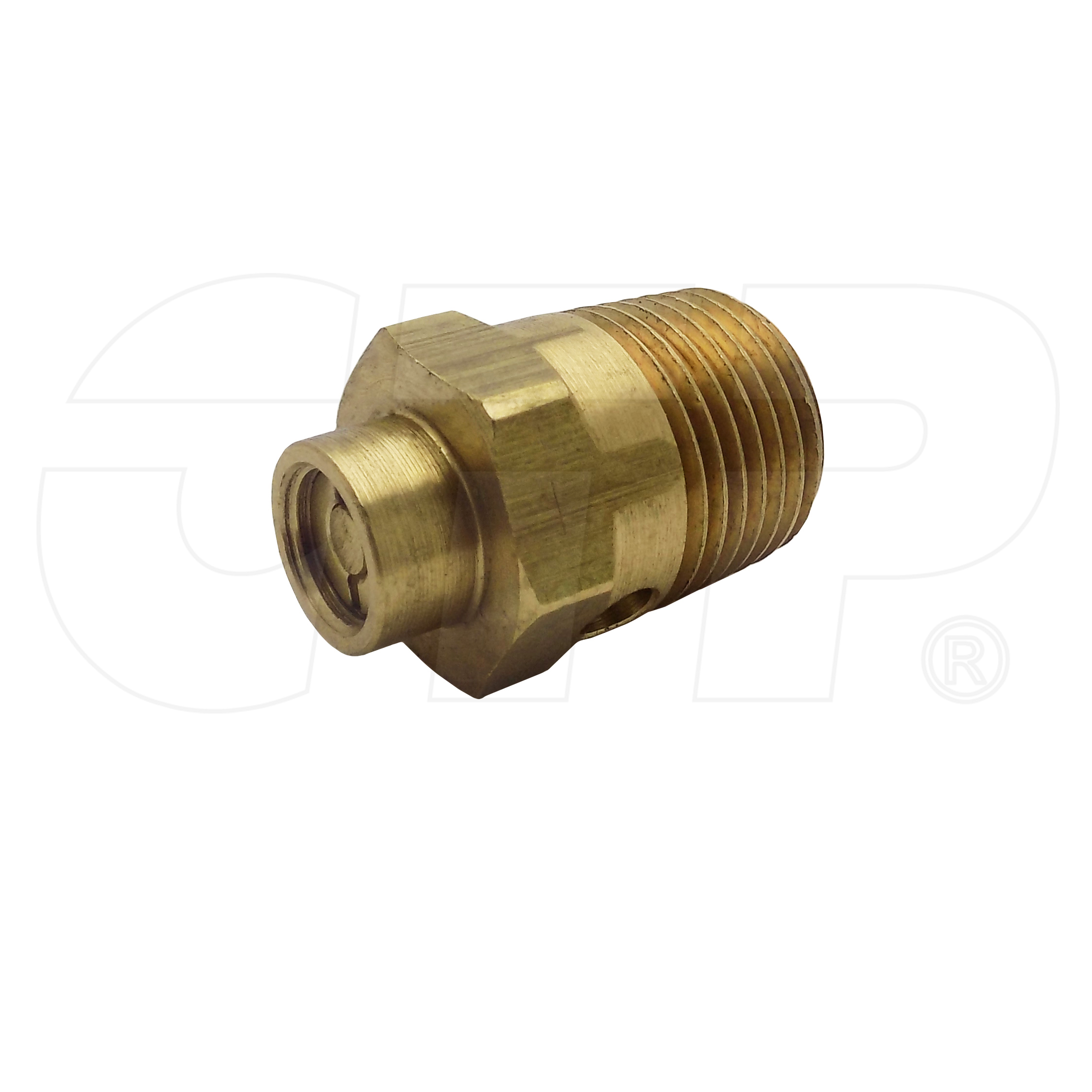 1245572 Valve Safe for CATERPILLAR
