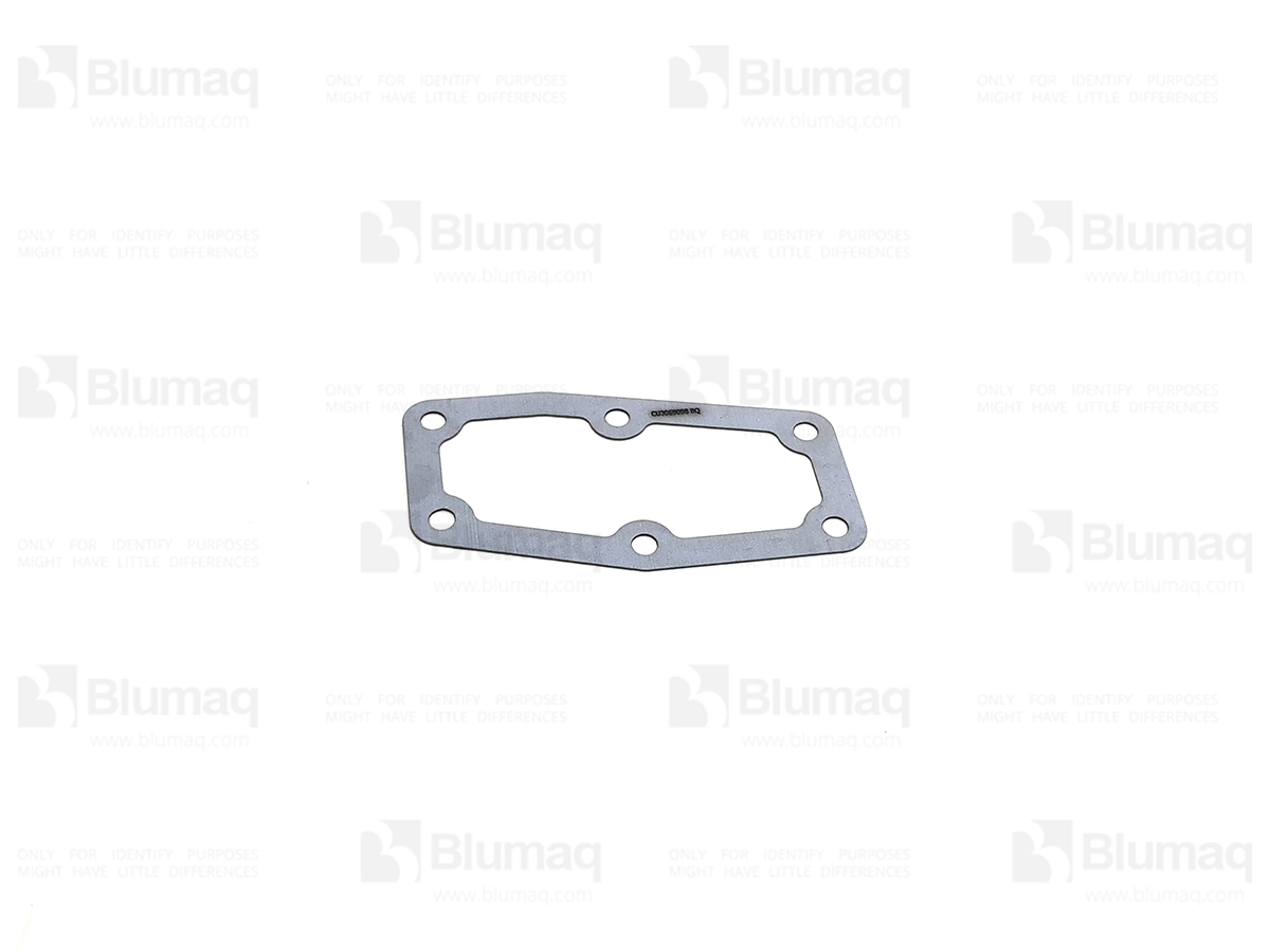 CU70089-1 Gasket