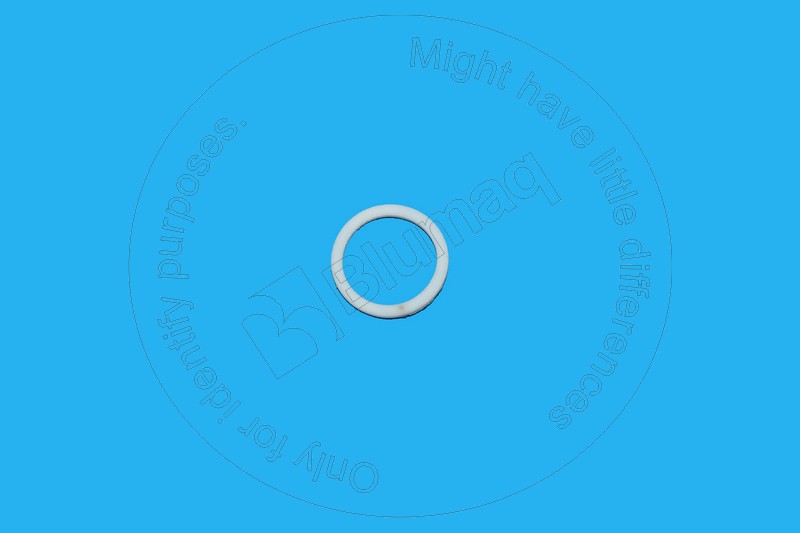 07001-02016 Back-up Ring for KOMATSU