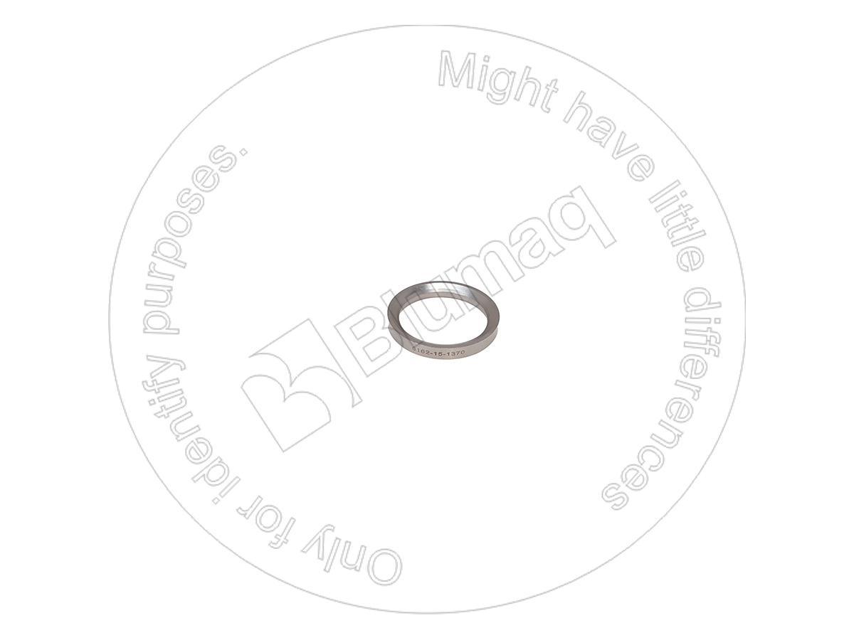 6166-13-1330 Intake Valve Seat for BLUMAQ