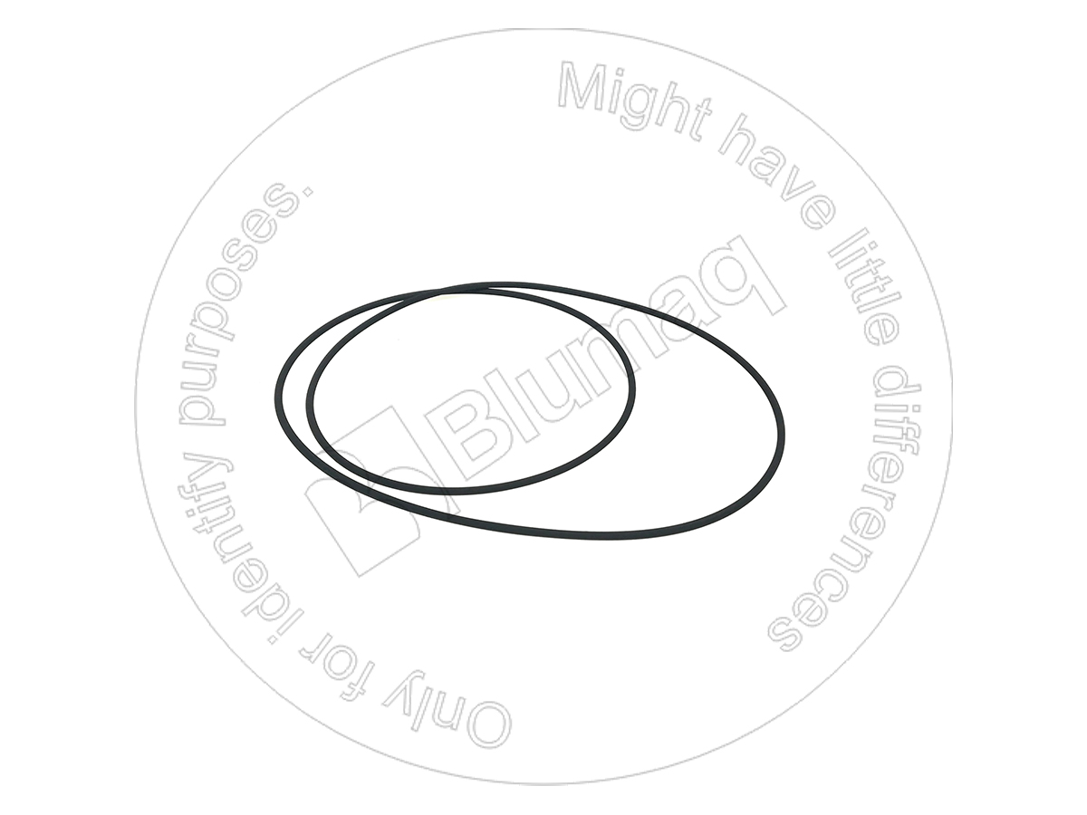 8C-5176 Seal O-ring for BLUMAQ