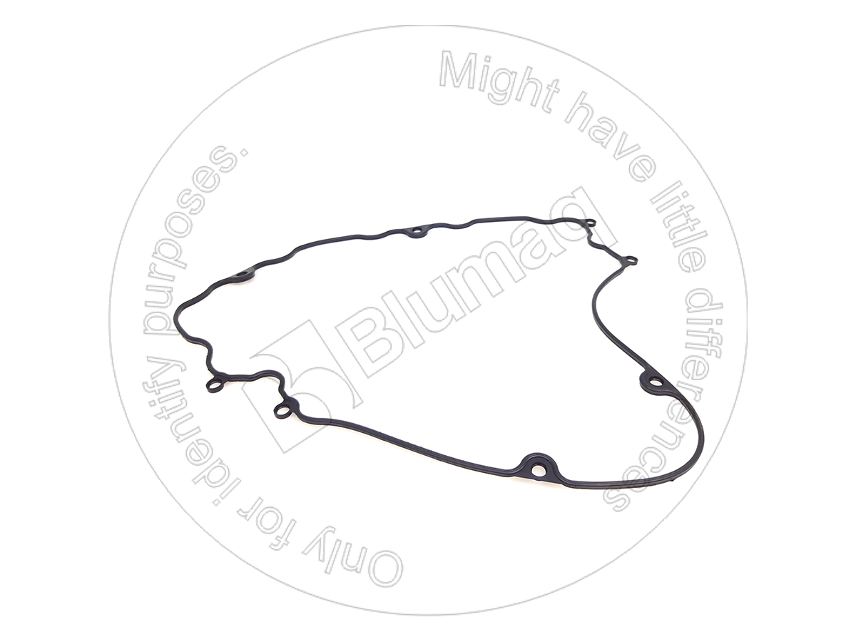216-9604 Gasket for BLUMAQ