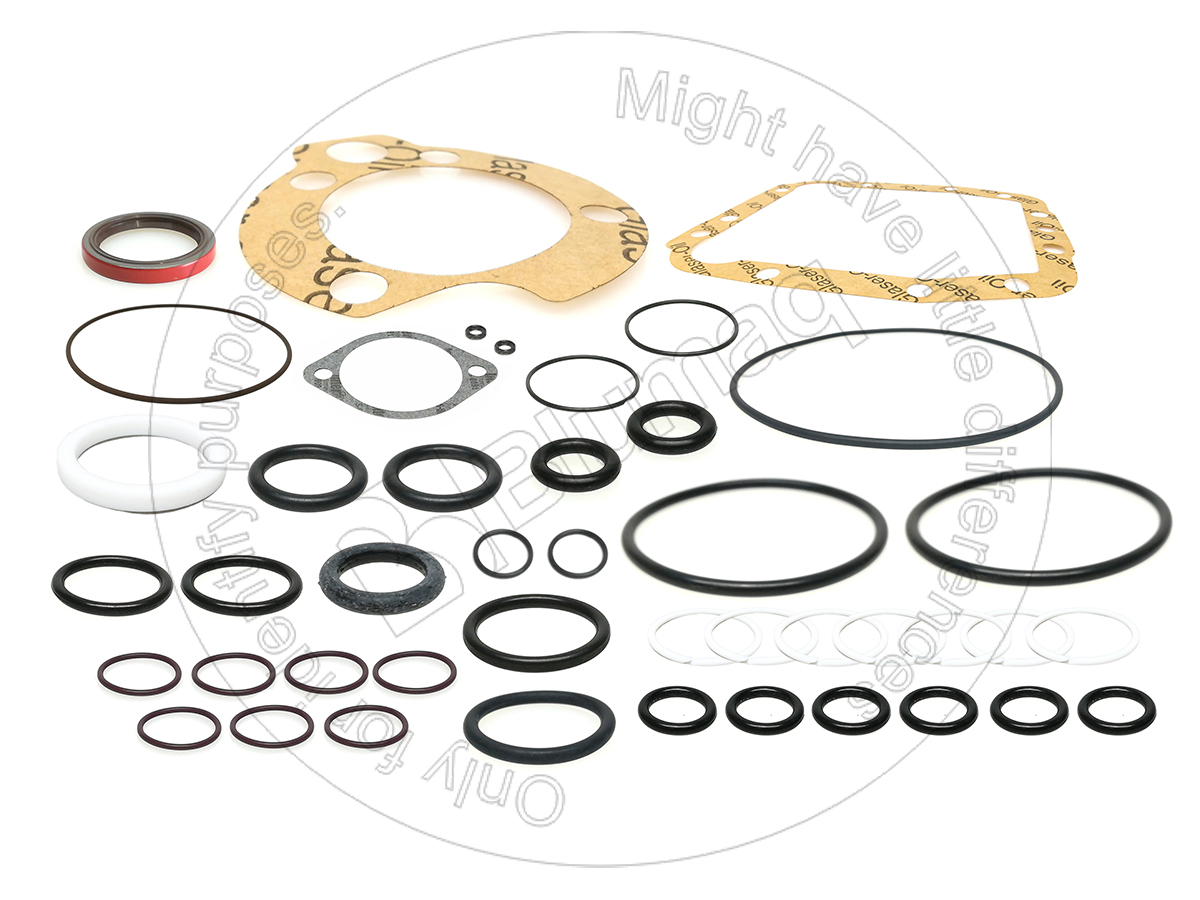3G-1689 Seal Kit for BLUMAQ