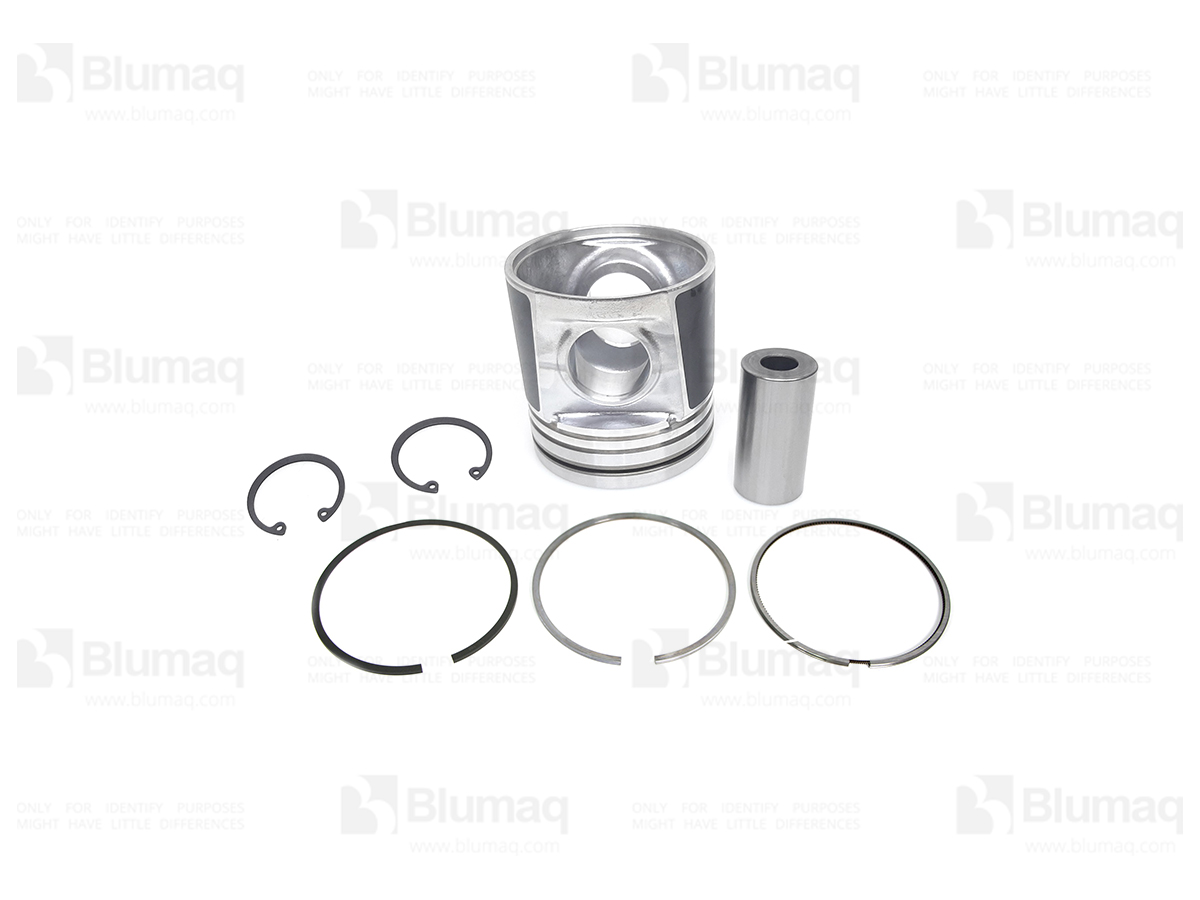 288-1394 Piston & Rings