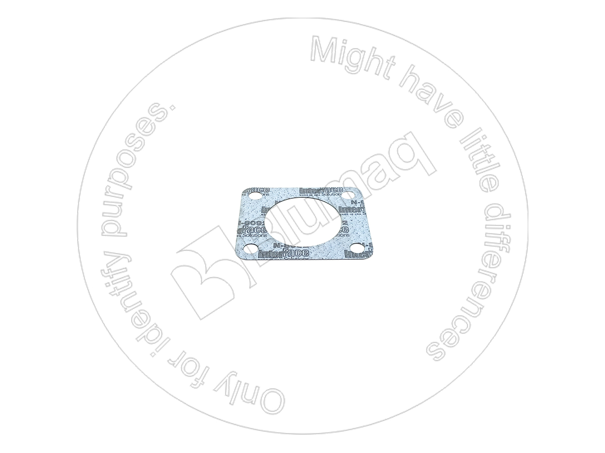 6162-63-2160 Gasket for BLUMAQ