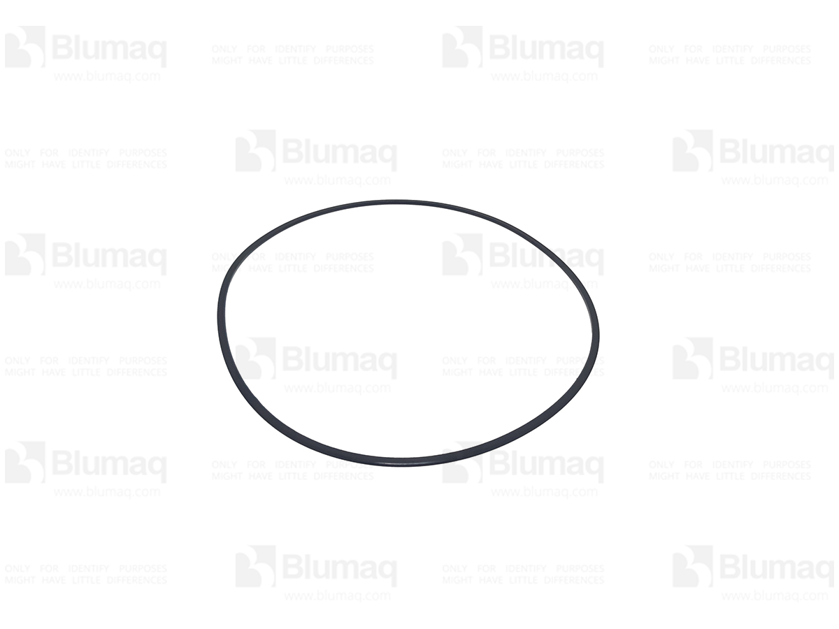 151-6251 Seal O-ring for BLUMAQ