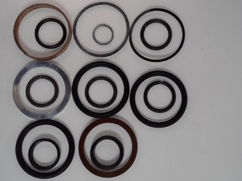 195752AS Kit for AGCO
