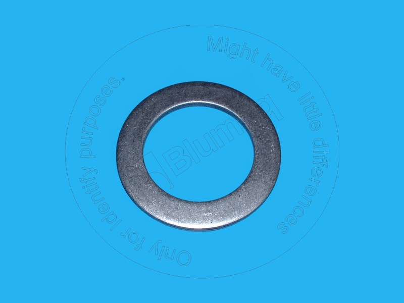 534-5488 Washer for BLUMAQ