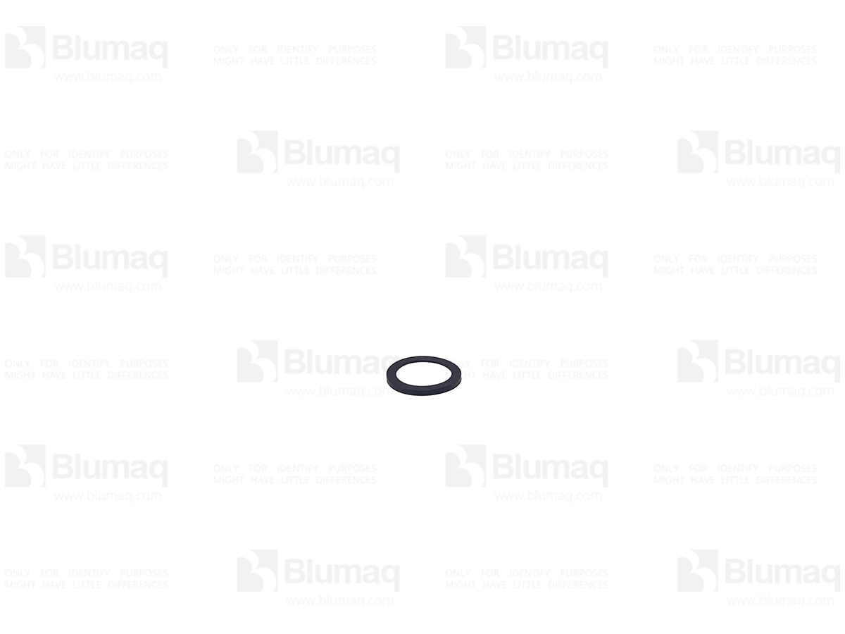 900.02081 Seal for BLUMAQ