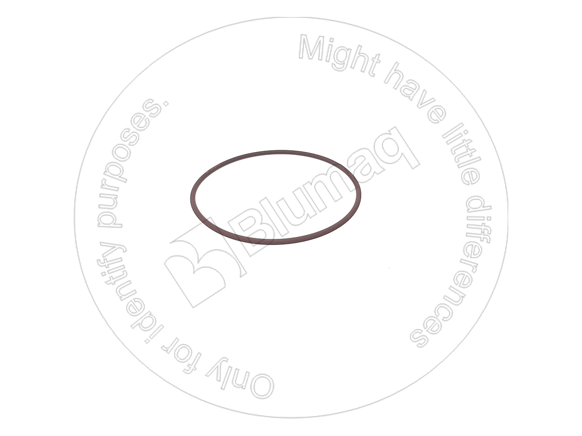 CS2386245 Seal O-ring