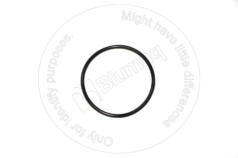 LI7011663 Seal O-ring
