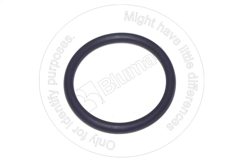 900.04155 Seal O-ring for BLUMAQ