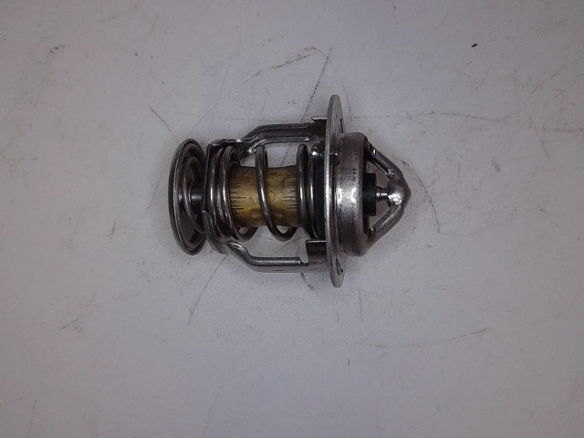 129155-49801 Thermostat