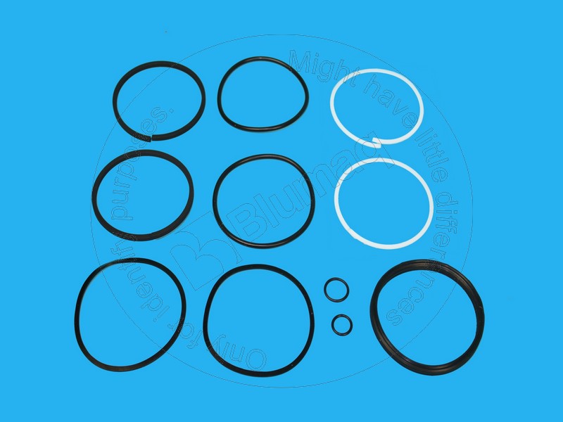 201-9571 Seal Kit