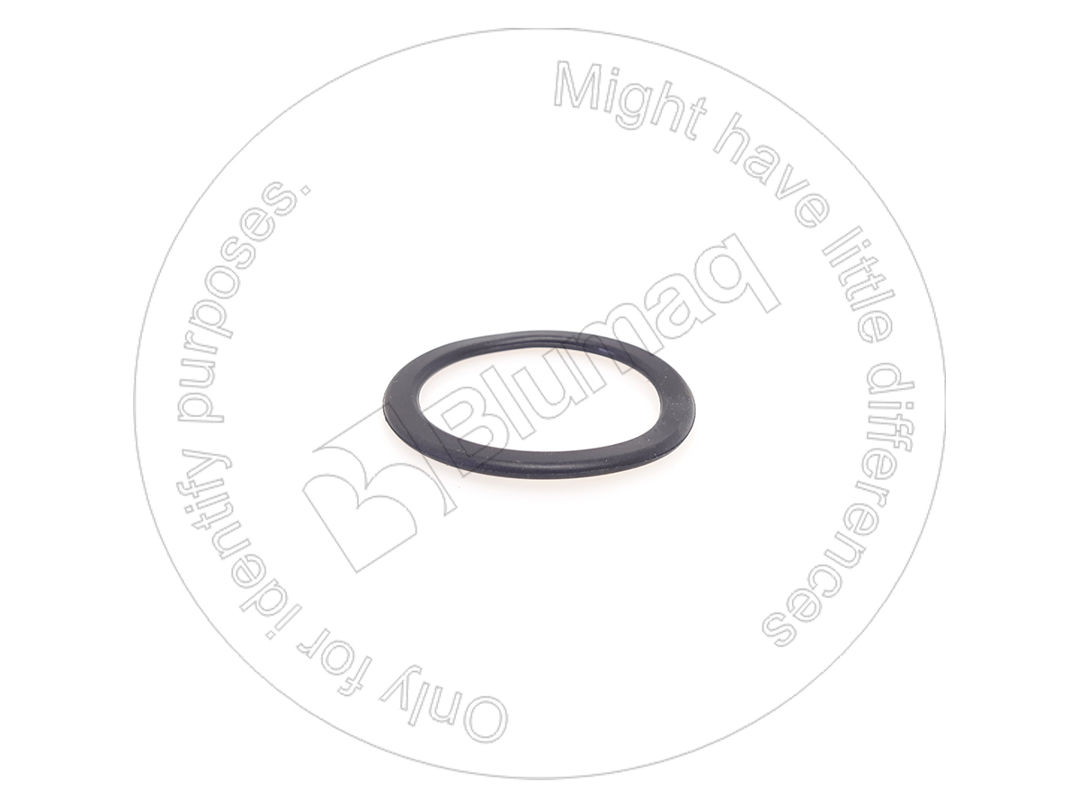 034.274 BLUMAQ Gasket