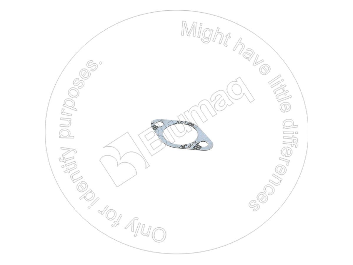 CS79101792 Paper Gasket