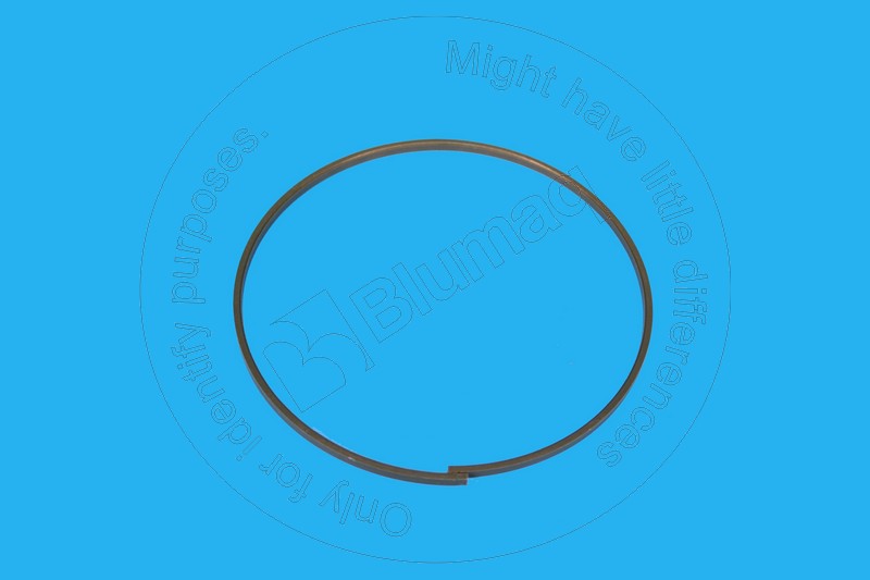 9G-2991 Segment for BLUMAQ