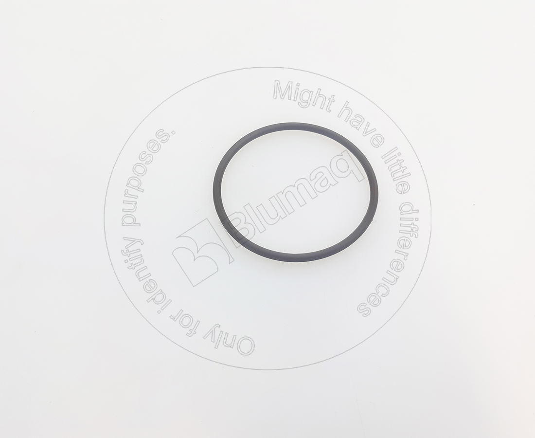 CSS06594 Seal O-ring