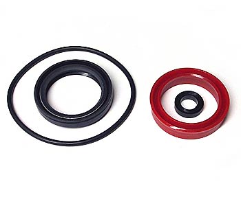 22307 Lift Cylinder Kit