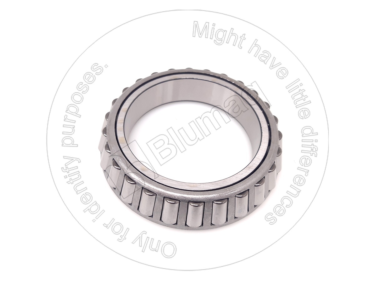 CS299245A1 Bearing