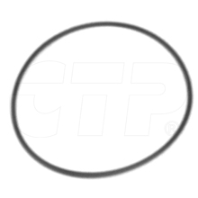 6V-2483 Seal O-ring for CATERPILLAR