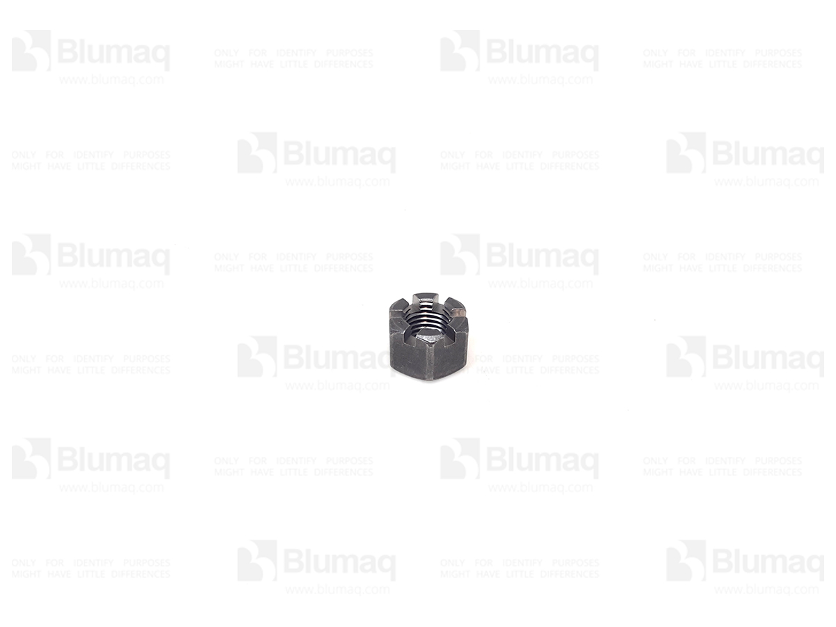 081-5791 Slotted Nut
