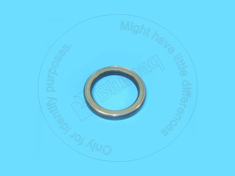 247-8977 Seal