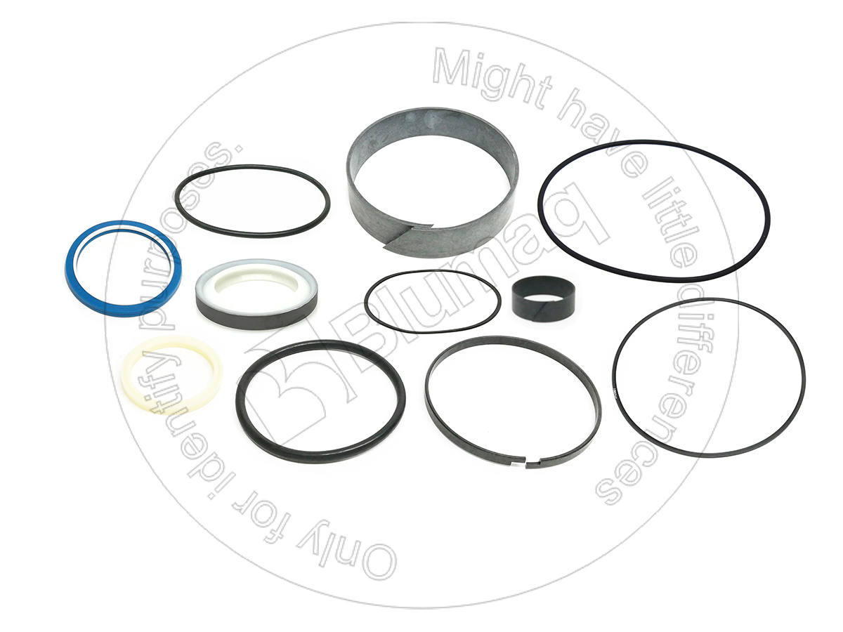 323-4199 Hydraulic Seal Kit for BLUMAQ