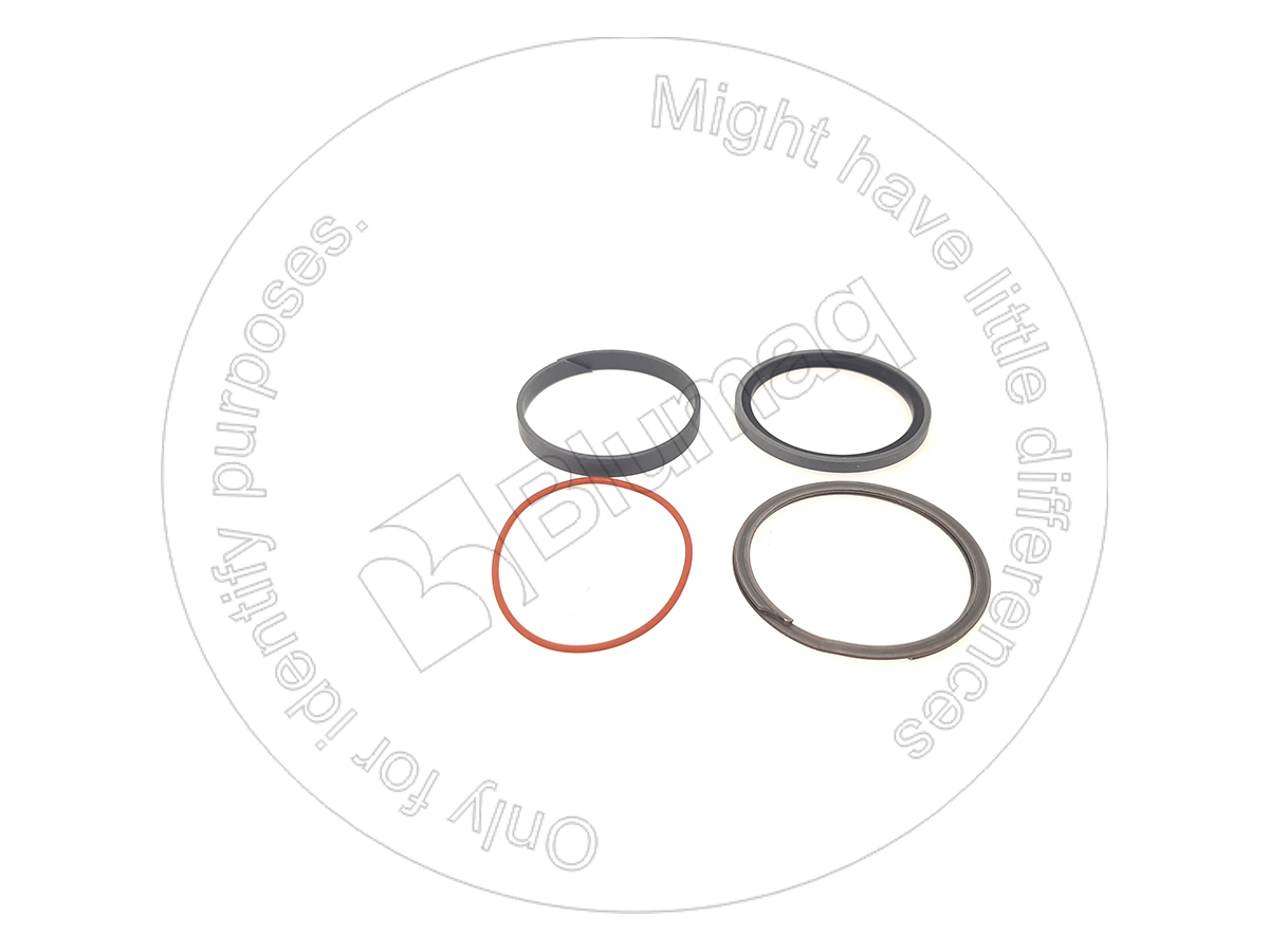 6E-4057 Seal Kit for BLUMAQ