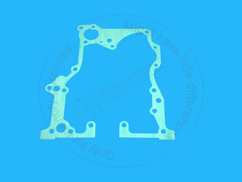 294-1733 Gasket for BLUMAQ