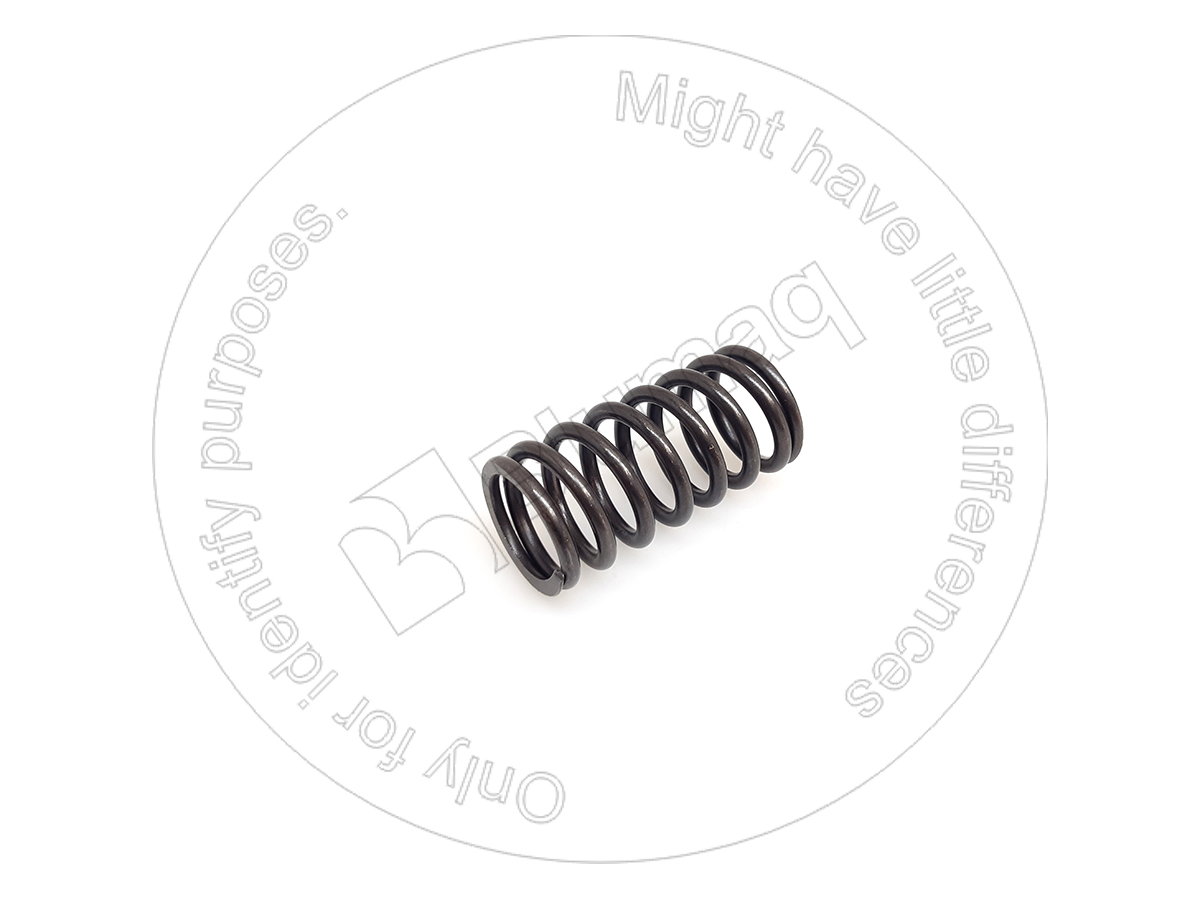 CSJ900276 Spring Valve