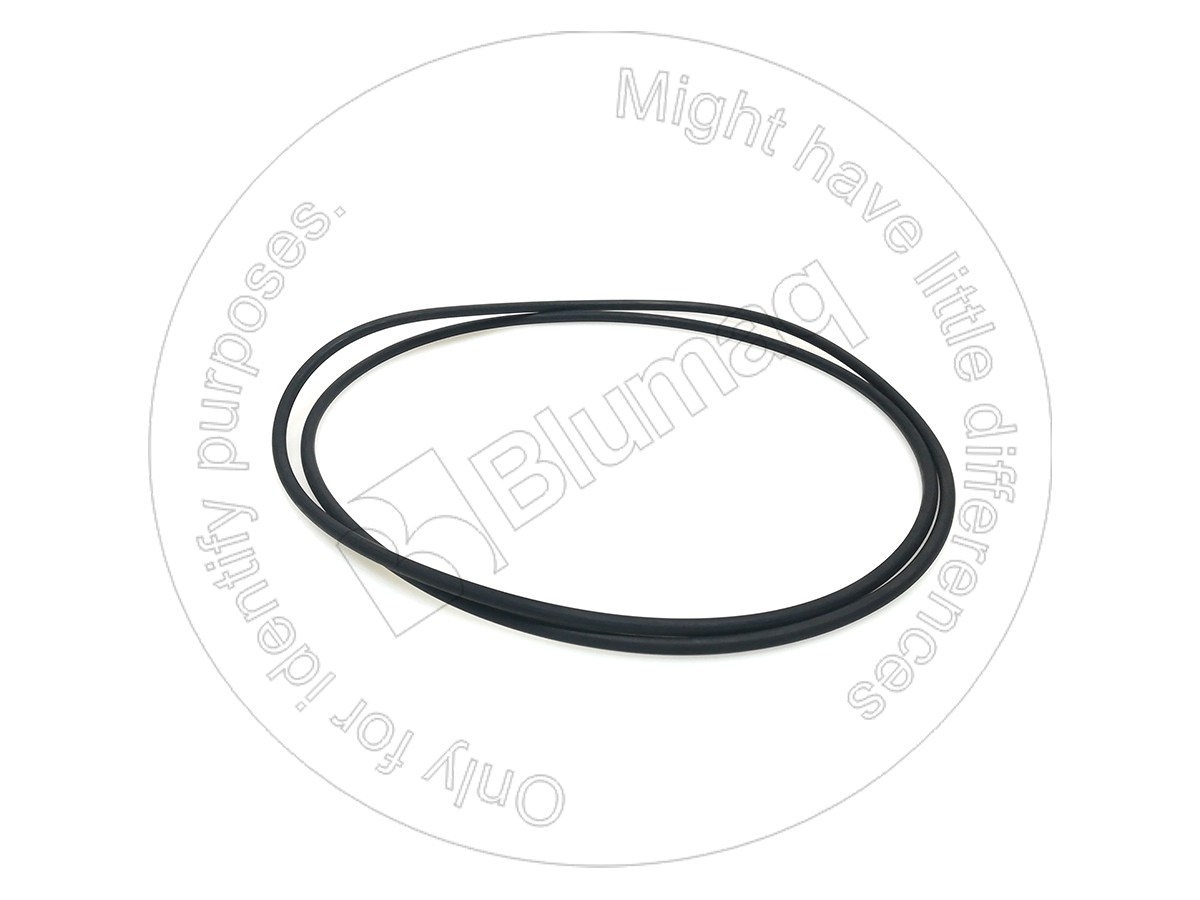 2R-0098 Seal O-ring for BLUMAQ