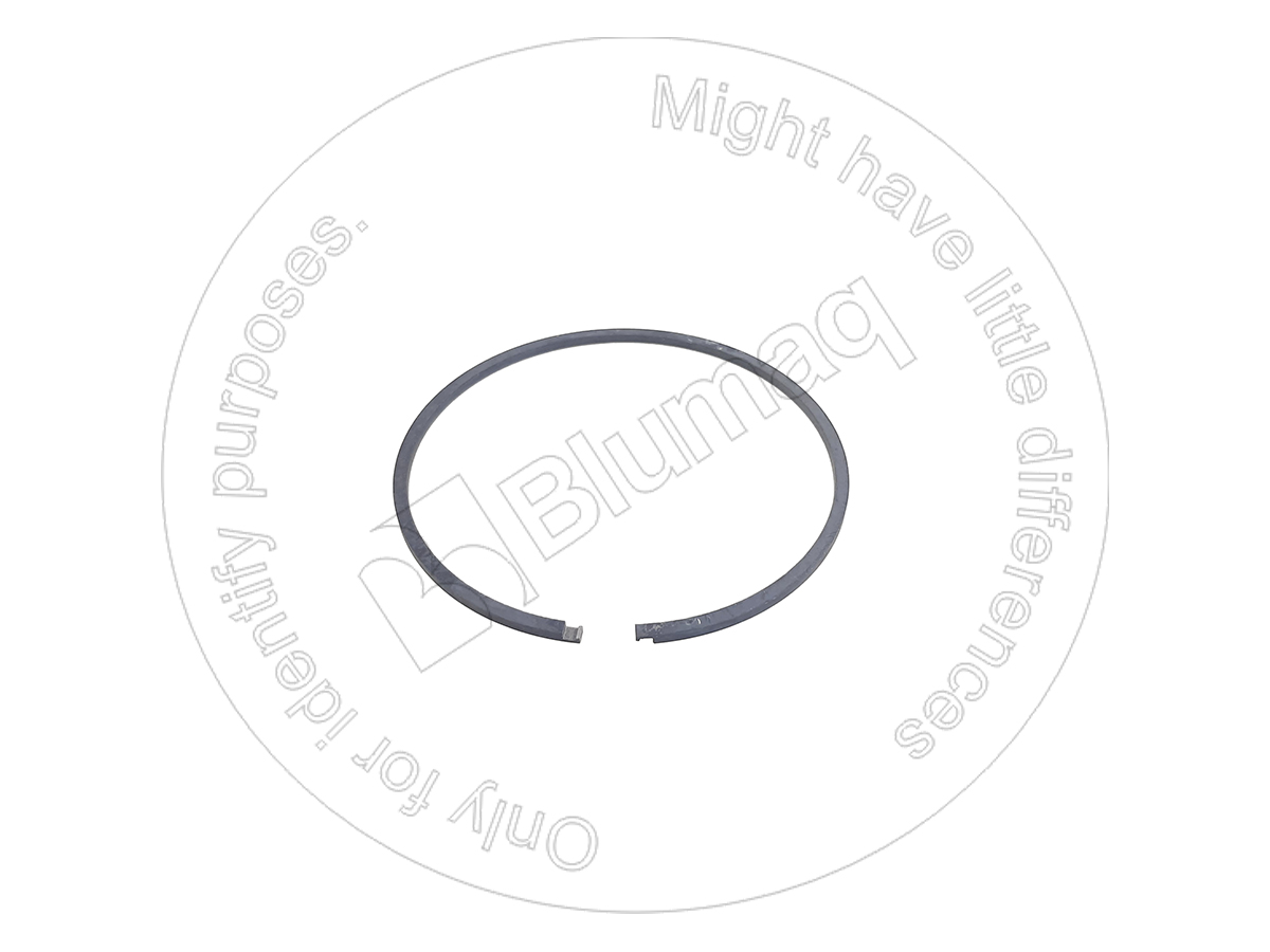2S-8983 Seal for BLUMAQ
