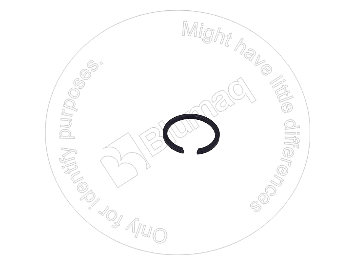 2V-7398 Ring for BLUMAQ