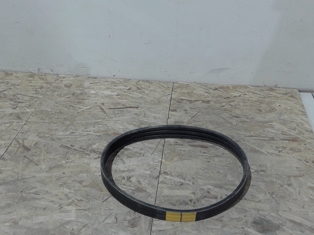 855353 AGCO V Belt