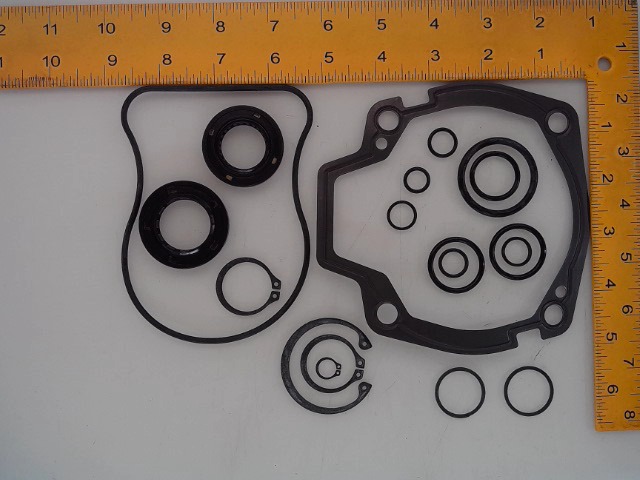 088312 Seal Kit for GEHL MANITOU