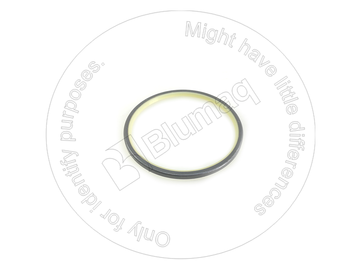 096-4411 Wiper Seal for BLUMAQ