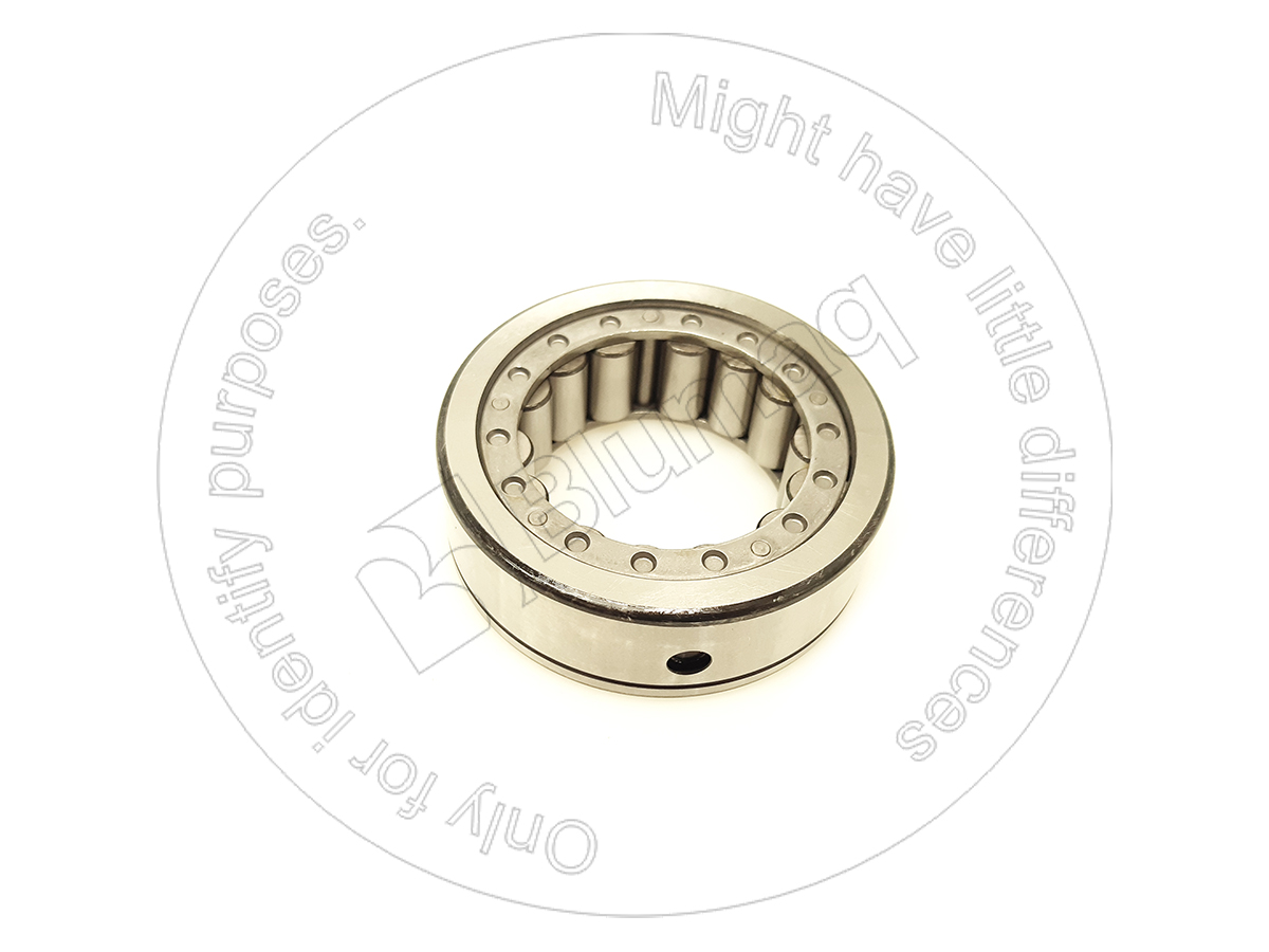 3K-5595 Bearing for BLUMAQ